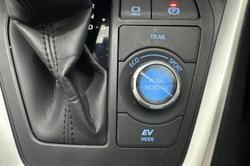 2019 Toyota RAV4 Cruiser