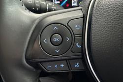 2019 Toyota RAV4 Cruiser