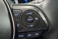 2019 Toyota RAV4 Cruiser