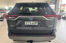 2019 Toyota RAV4 Cruiser