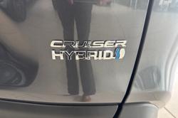 2019 Toyota RAV4 Cruiser