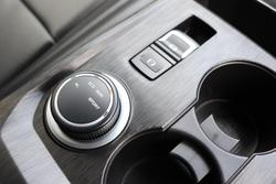 2025 GWM Cannon Premium