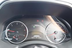 2025 GWM Cannon Premium