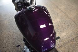 2021 HARLEY-DAVIDSON FXST SOFTAIL STANDARD (107)