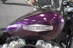 2021 HARLEY-DAVIDSON FXST SOFTAIL STANDARD (107)