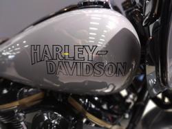 2022 Harley-Davidson Road Glide Special ST 117 (FLTRXST) Touring