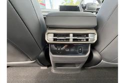 2025 LDV Terron 9 Evolve