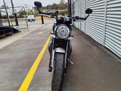 2024 Triumph Speed Twin 1200 Speed Twin Grey