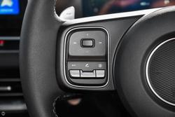 2025 GWM Cannon Premium