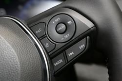 2025 Toyota RAV4 Cruiser