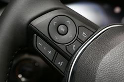 2025 Toyota RAV4 Cruiser