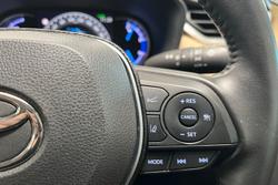 2025 Toyota RAV4 Cruiser