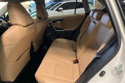 2025 Toyota RAV4 Cruiser