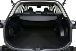 2025 Toyota RAV4 Cruiser