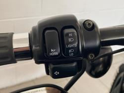 2009 Harley-Davidson Iron 883 (XL883N) Sportster Black