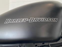 2009 Harley-Davidson Iron 883 (XL883N) Sportster Black