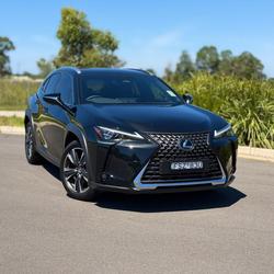 2025 Lexus UX 300h Sport Luxury