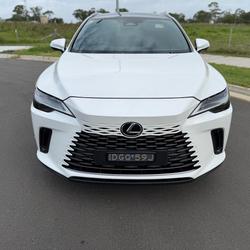 2023 Lexus RX 350h Sports Luxury