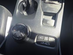 2025 Ford Everest Trend