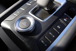 2025 GWM Cannon Premium