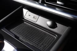 2025 GWM Cannon Premium