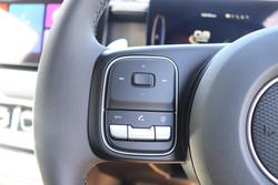 2025 GWM Cannon Premium