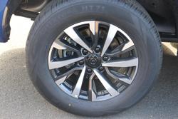 2025 GWM Cannon Premium