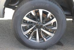 2025 GWM Cannon Premium