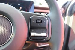 2025 GWM Cannon Premium