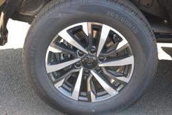 2025 GWM Cannon Premium