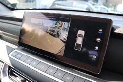 2025 GWM Cannon Premium