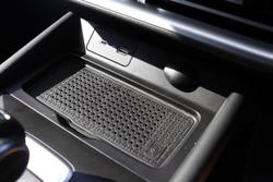 2025 GWM Cannon Premium