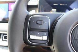 2025 GWM Cannon Premium