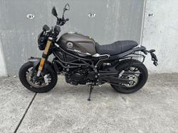 2022 Benelli Leoncino 800