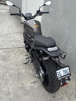 2022 Benelli Leoncino 800