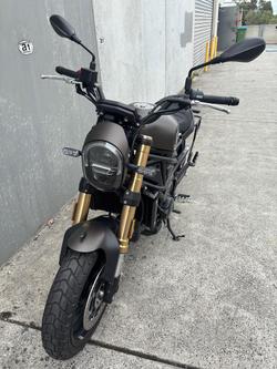 2022 Benelli Leoncino 800