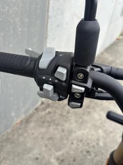 2022 Benelli Leoncino 800