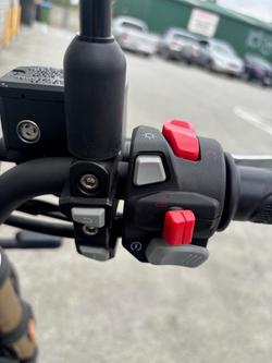 2022 Benelli Leoncino 800