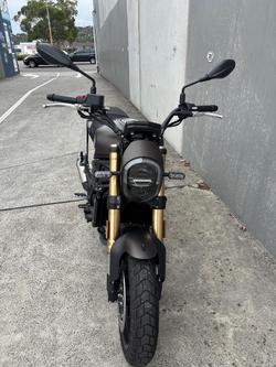 2022 Benelli Leoncino 800