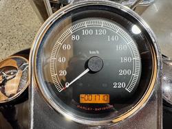 2017 HARLEY-DAVIDSON FLSTF FAT BOY