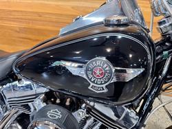 2017 HARLEY-DAVIDSON FLSTF FAT BOY