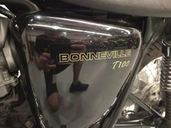 2010 Triumph Bonneville T100 (865cc) Bonneville