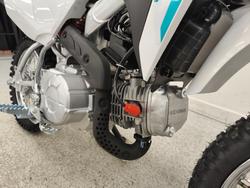 2026 Honda CRF110FT White