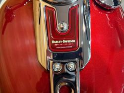 2023 HARLEY-DAVIDSON FLFBSANV FAT BOY S (114) ANNI