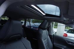 2024 Toyota RAV4 Cruiser