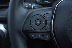 2024 Toyota RAV4 Cruiser