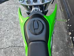2025 Kawasaki KLX230 S GREEN