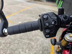 2025 Indian 2025 INDIAN 1250CC 101 SCOUT SUNSET RED METALLIC