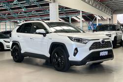 2020 Toyota RAV4 Cruiser