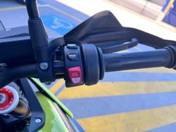 2025 BMW F 900 GS Enduro